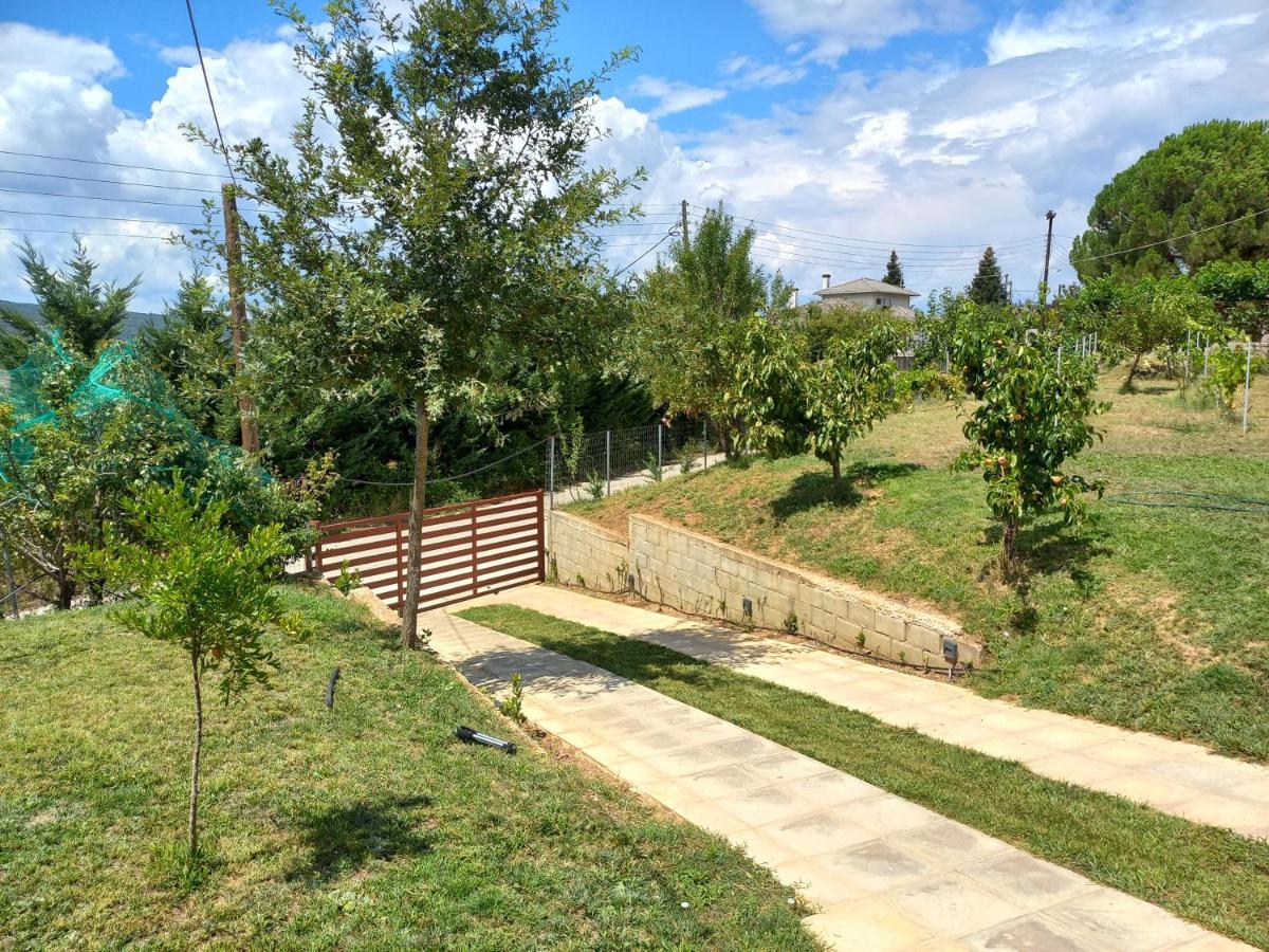 V&L Sunset Villa Ioannina Ngoại thất bức ảnh