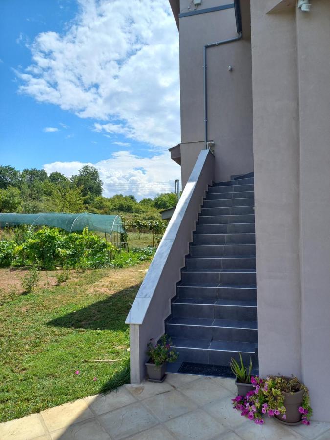 V&L Sunset Villa Ioannina Ngoại thất bức ảnh