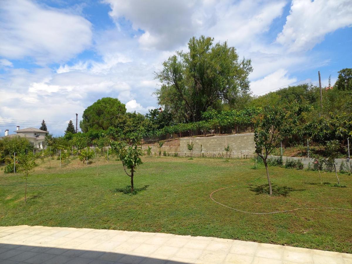 V&L Sunset Villa Ioannina Ngoại thất bức ảnh